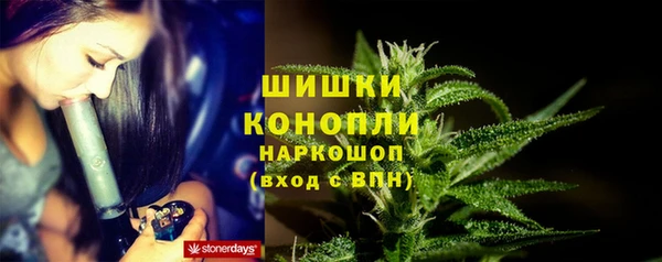 шишки Нефтегорск