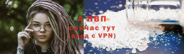 гидра Туринск