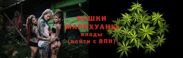 шишки Нефтегорск