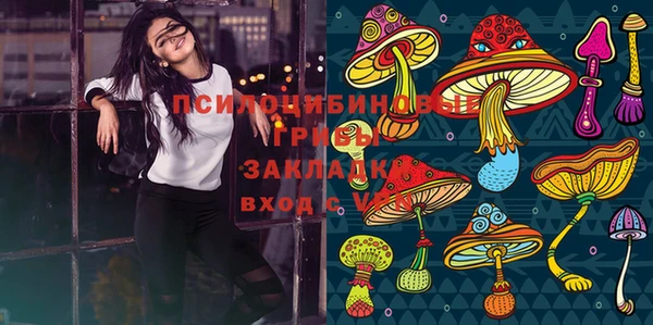 шишки Нефтегорск