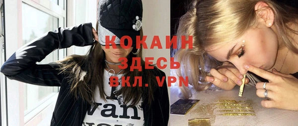 шишки Нефтегорск