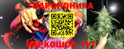 тгк Кимры