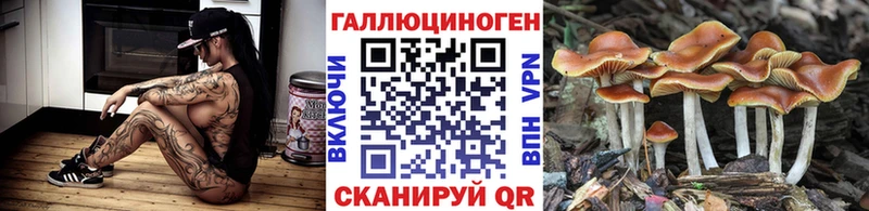 Галлюциногенные грибы Psilocybine cubensis  hydra ТОР  Петропавловск-Камчатский  где можно купить  