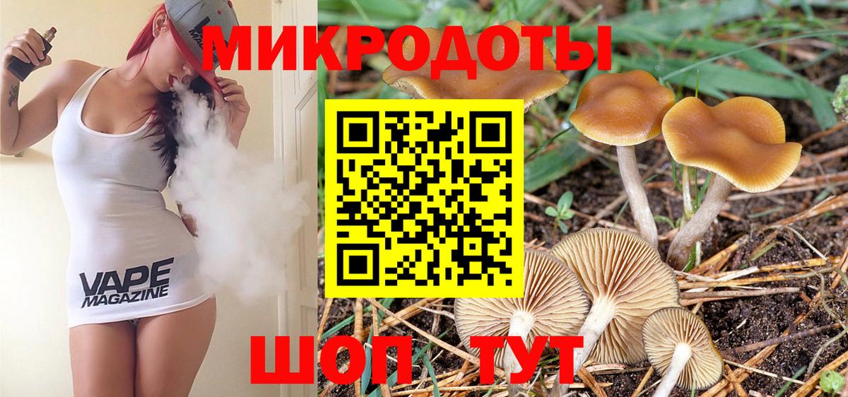 Псилоцибиновые грибы ЛСД  Псилоцибиновые грибы Psilocybe  Петропавловск-Камчатский 