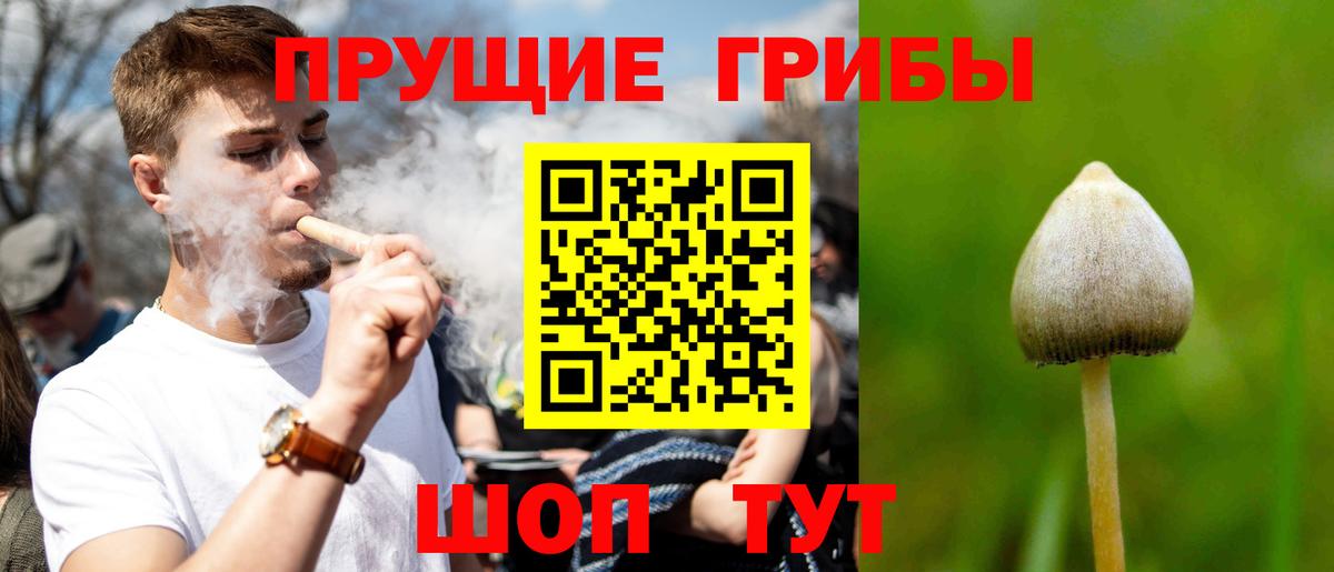 Псилоцибиновые грибы Magic Shrooms  Вход с VPN  Петропавловск-Камчатский 