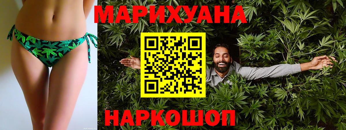 Конопля гибрид Петропавловск-Камчатский